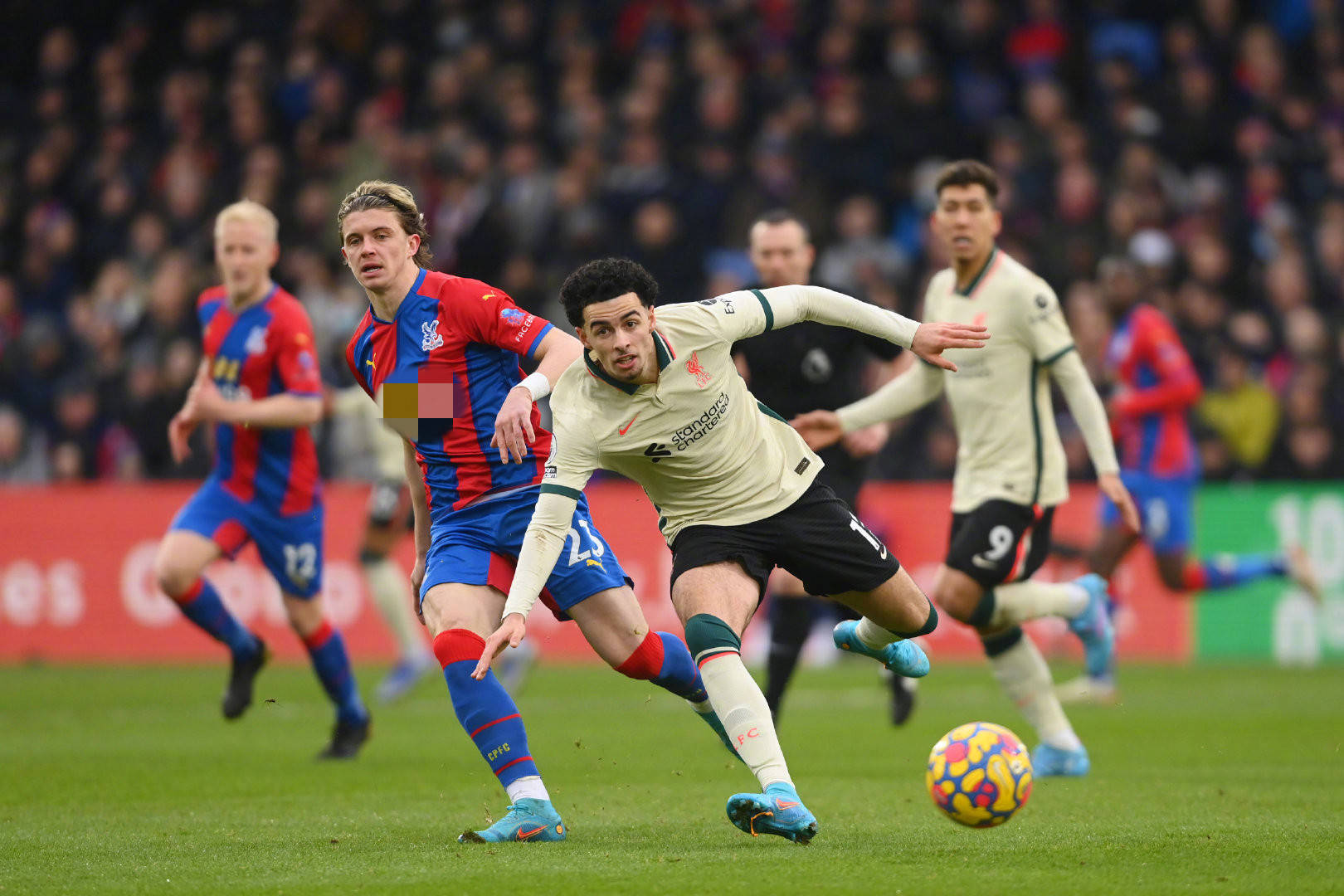 地利用了两 地利用了两