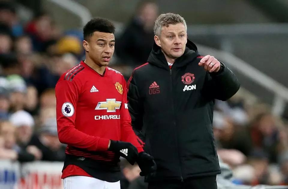 也是一种极 也是一种极